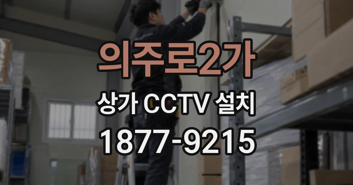 의주로2가 상가 CCTV 설치