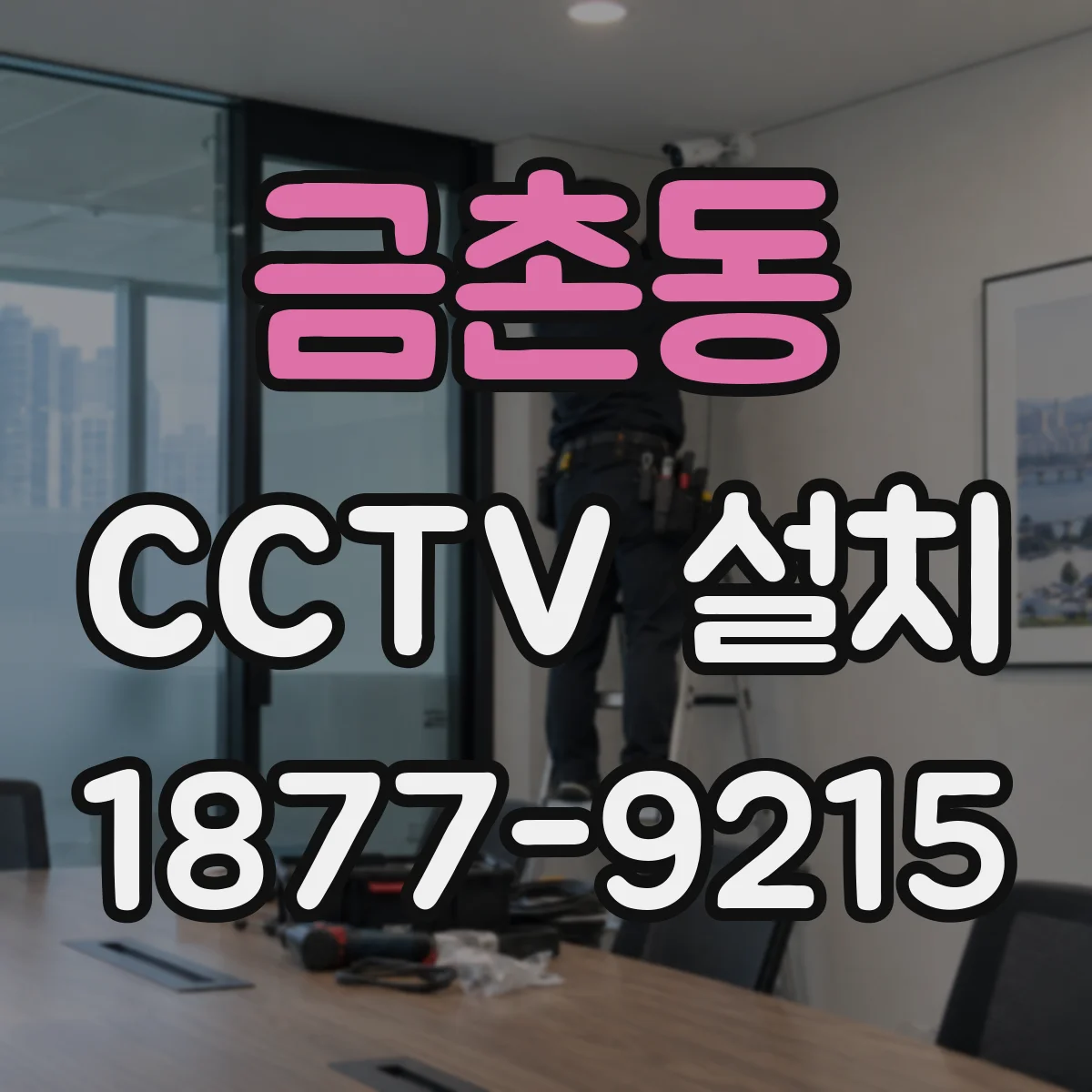 금촌동 CCTV 설치