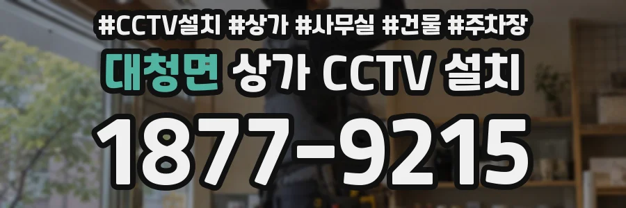 대청면 상가 CCTV 설치