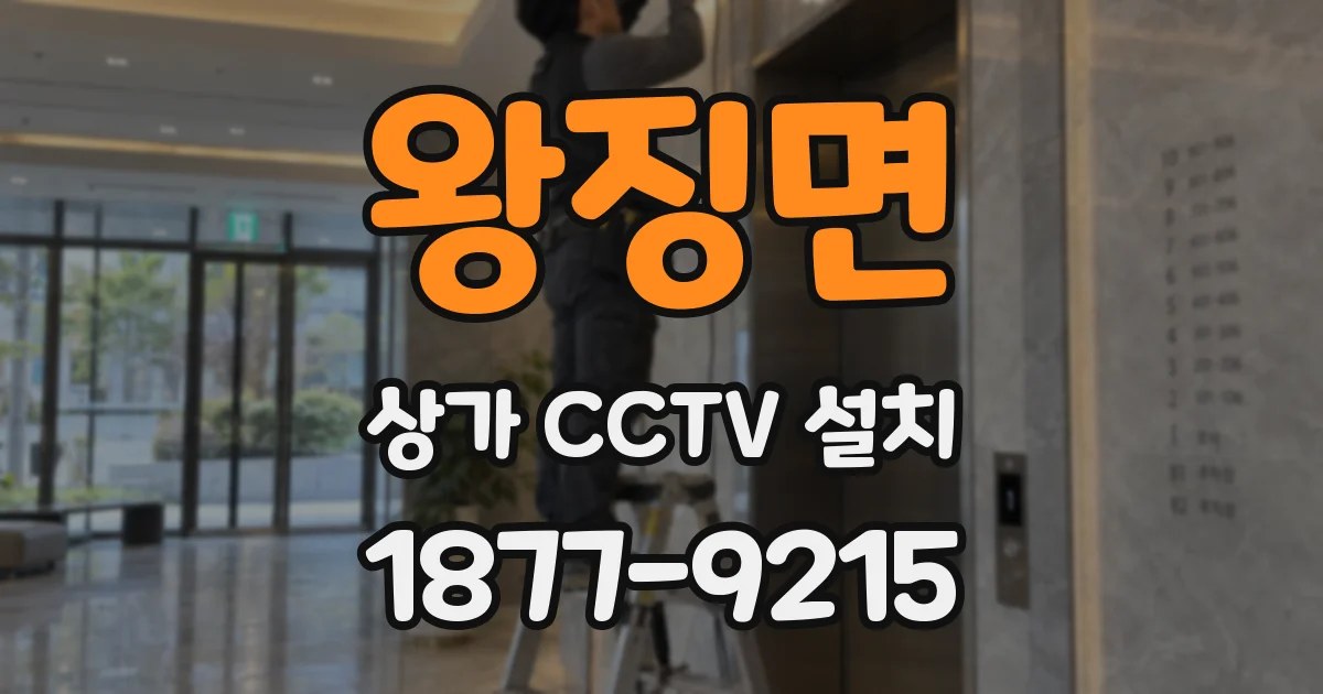 왕징면 상가 CCTV 설치