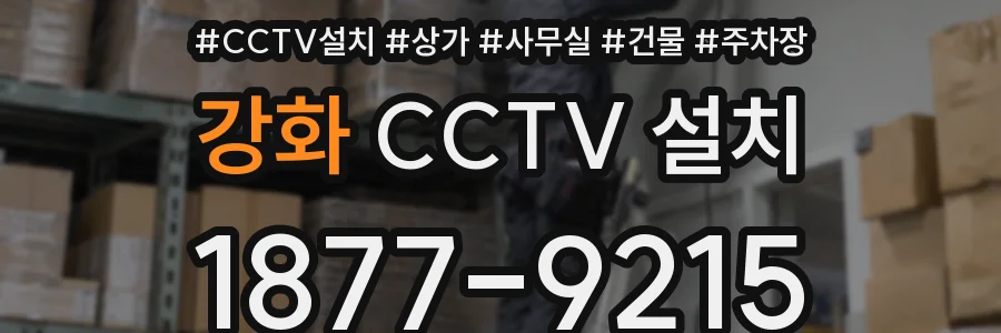 강화 CCTV 설치