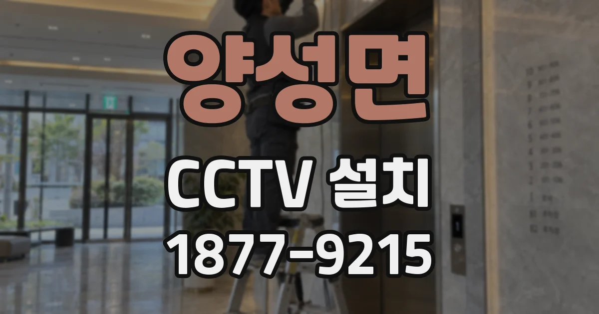 양성면 CCTV 설치