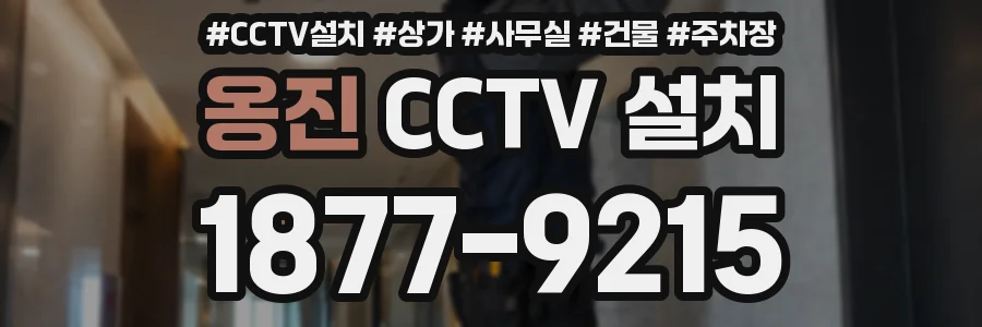 옹진 CCTV 설치