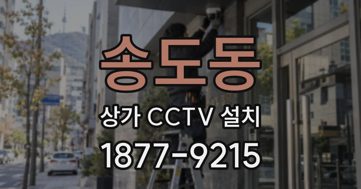 송도동 상가 CCTV 설치