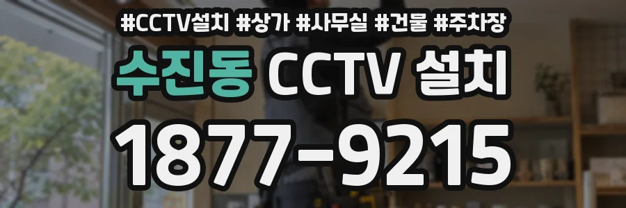 수진동 CCTV 설치