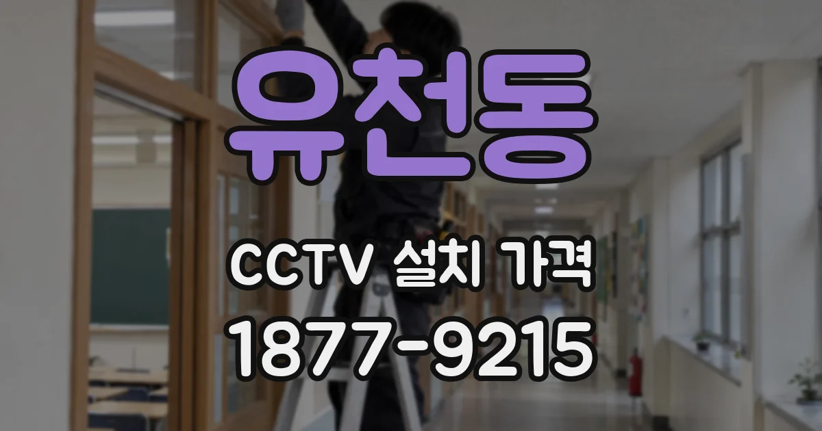 유천동 CCTV 설치 가격