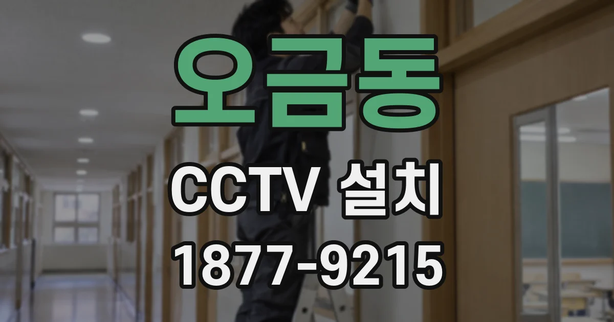 오금동 CCTV 설치