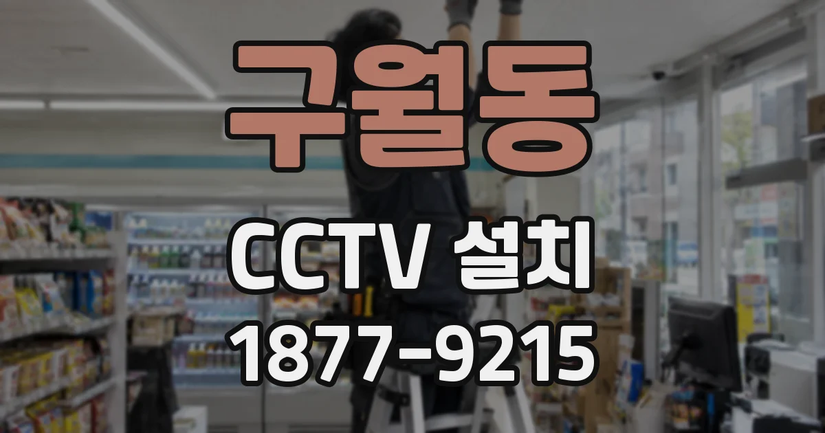 구월동 CCTV 설치