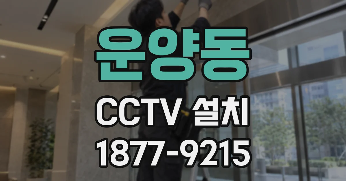 운양동 CCTV 설치