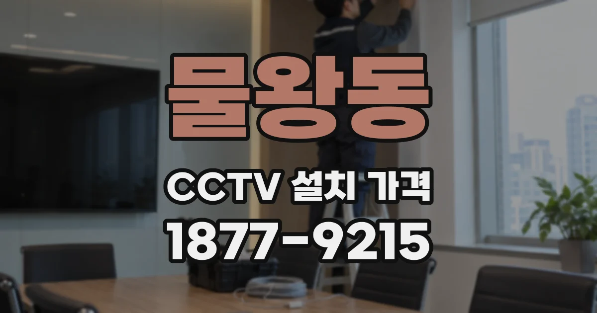 물왕동 CCTV 설치 가격