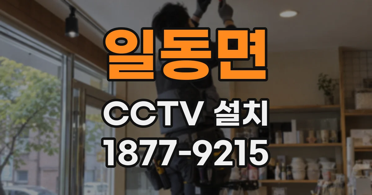 일동면 CCTV 설치