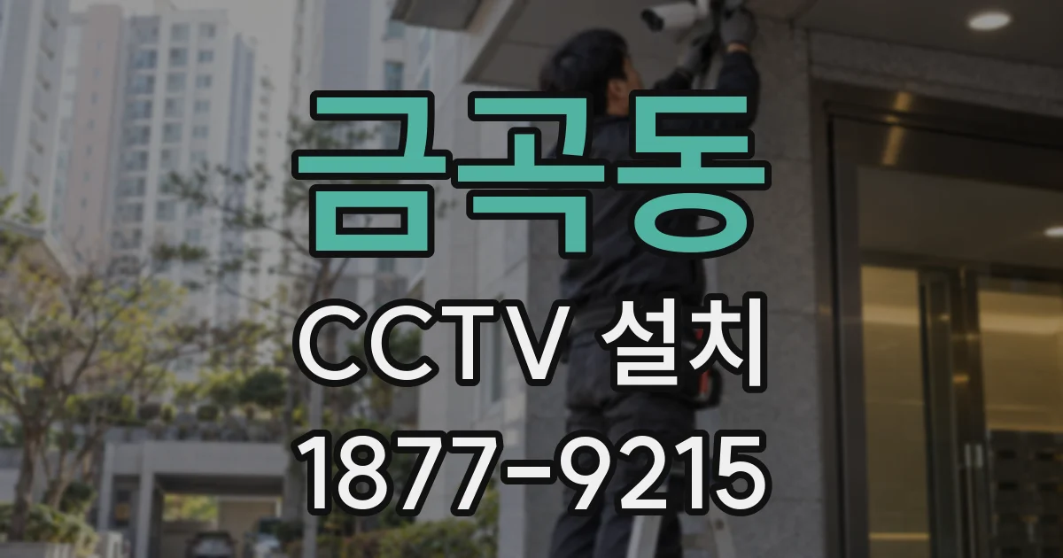 금곡동 CCTV 설치