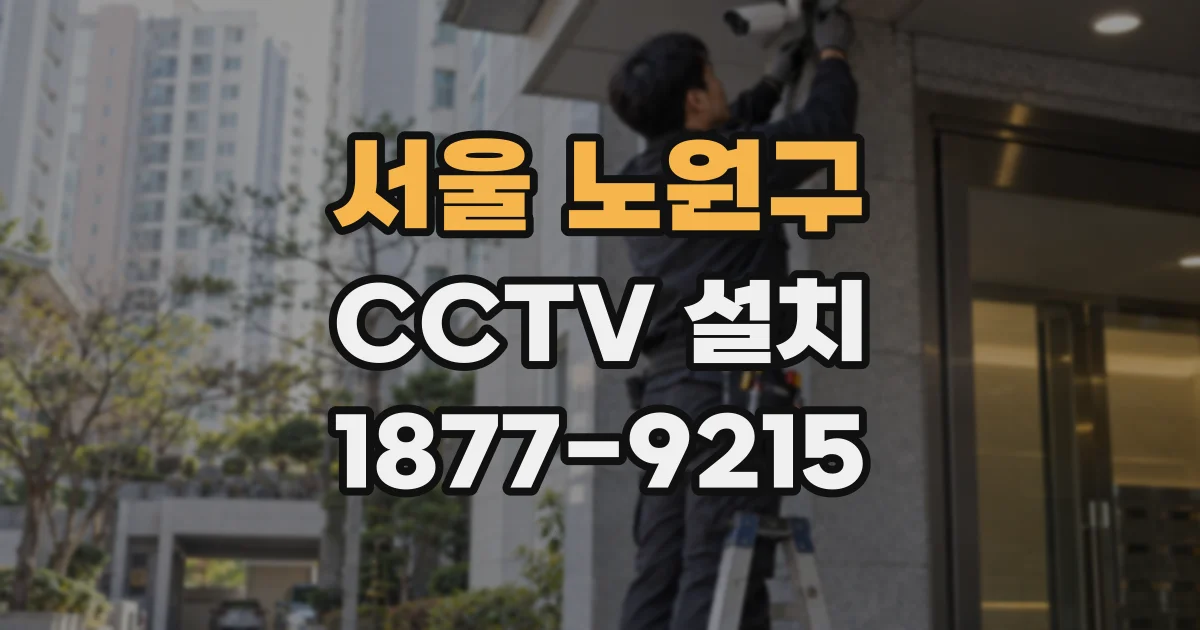 서울 노원구 CCTV 설치