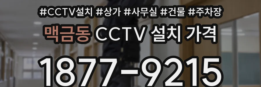 맥금동 CCTV 설치 가격