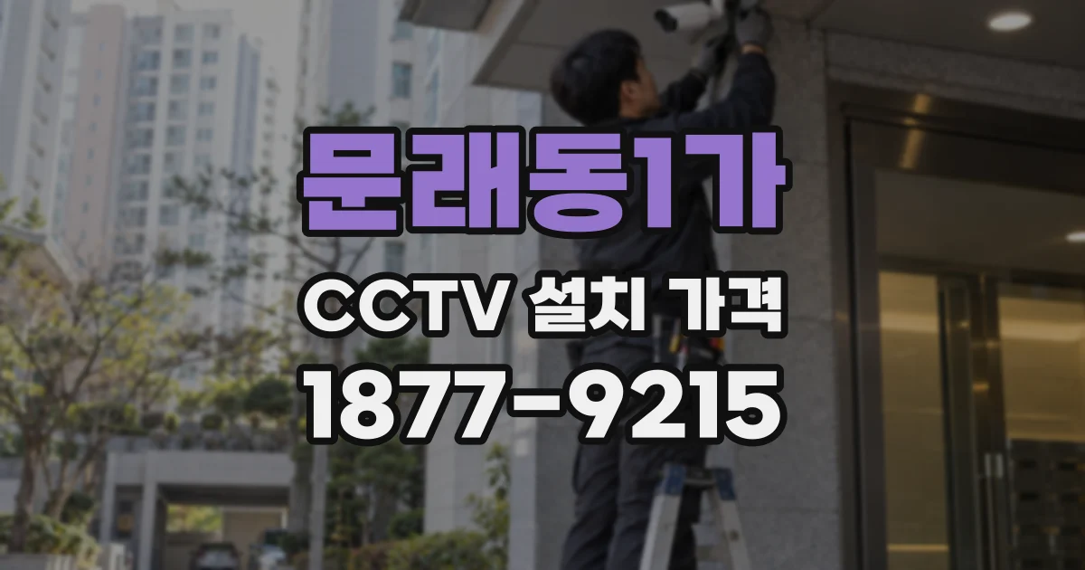 문래동1가 CCTV 설치 가격