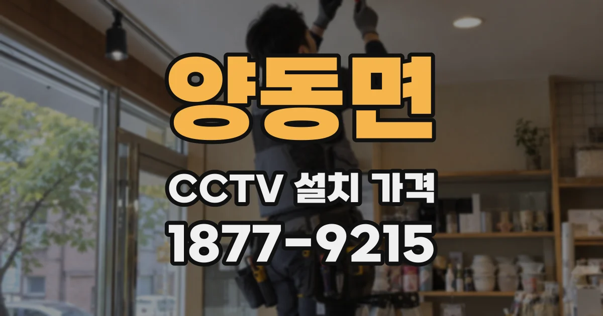 양동면 CCTV 설치 가격