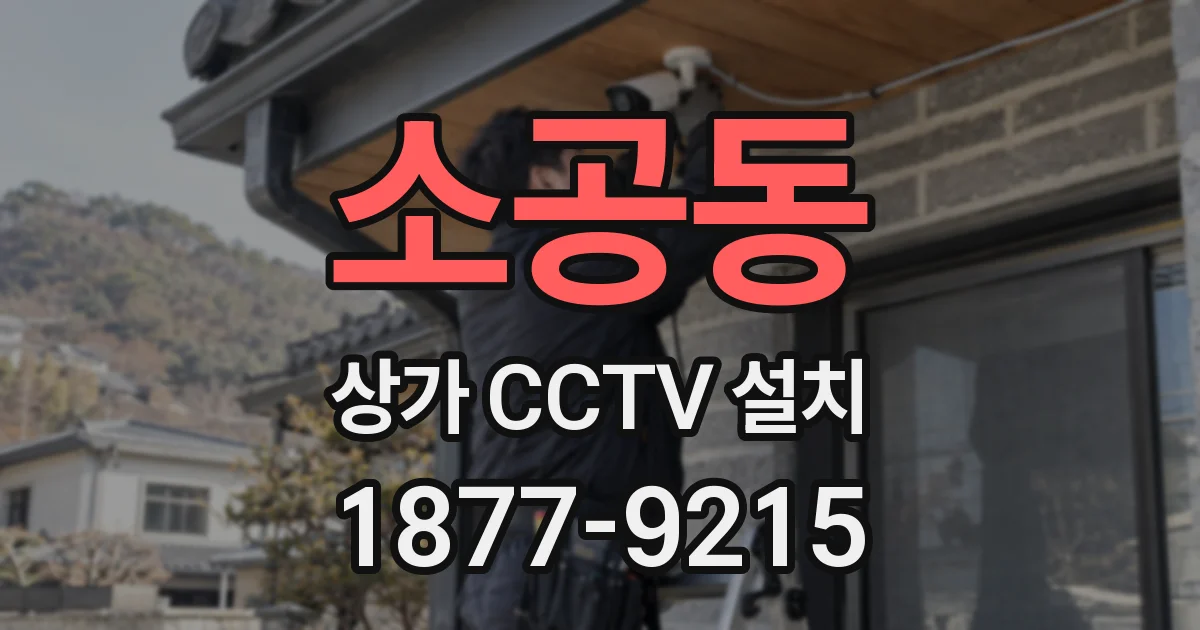 소공동 상가 CCTV 설치