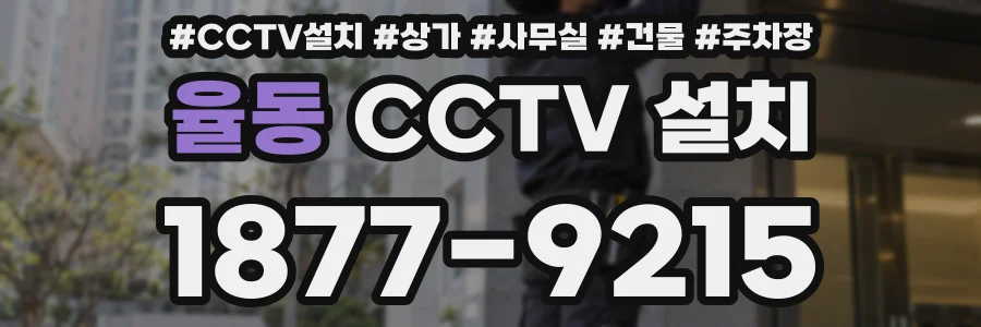 율동 CCTV 설치