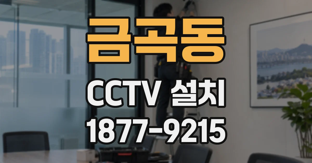 금곡동 CCTV 설치