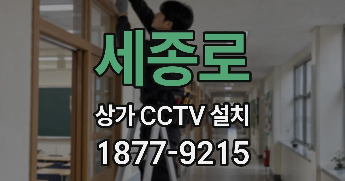 세종로 상가 CCTV 설치