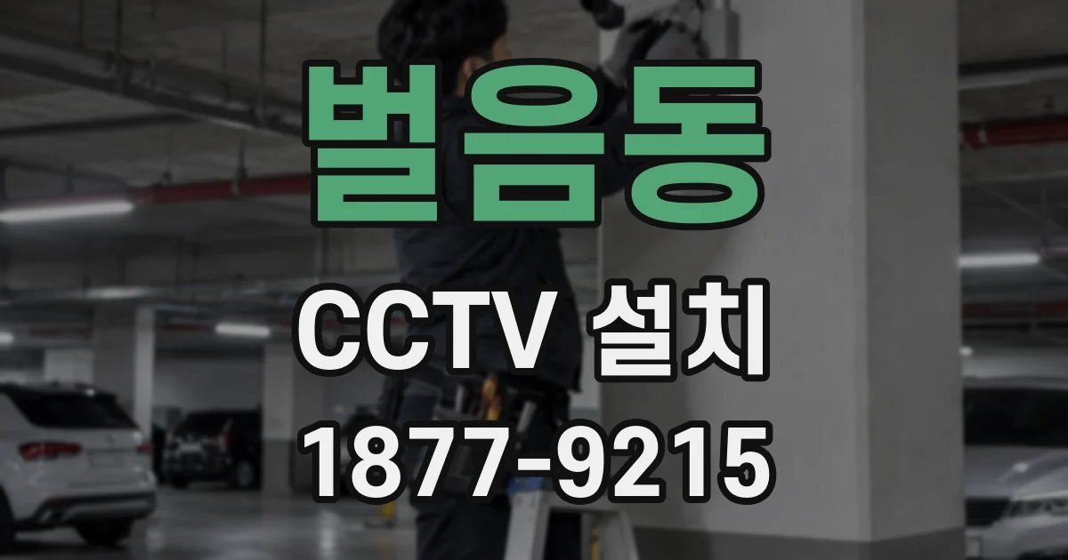 벌음동 CCTV 설치