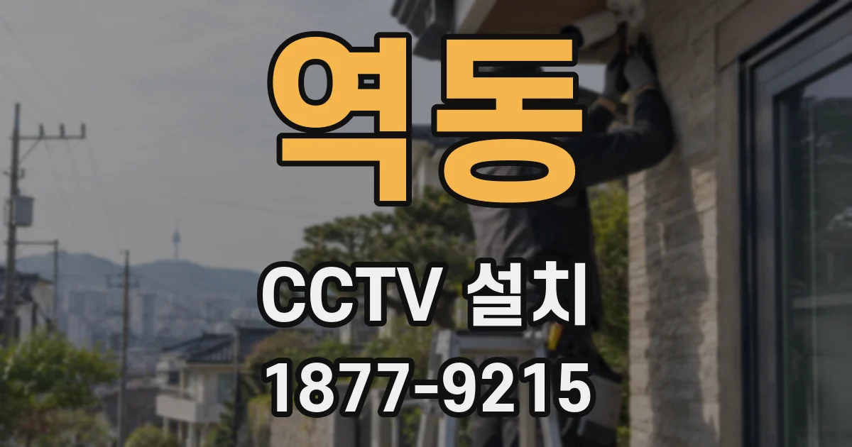 역동 CCTV 설치