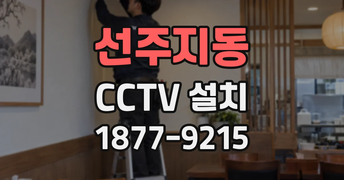 선주지동 CCTV 설치