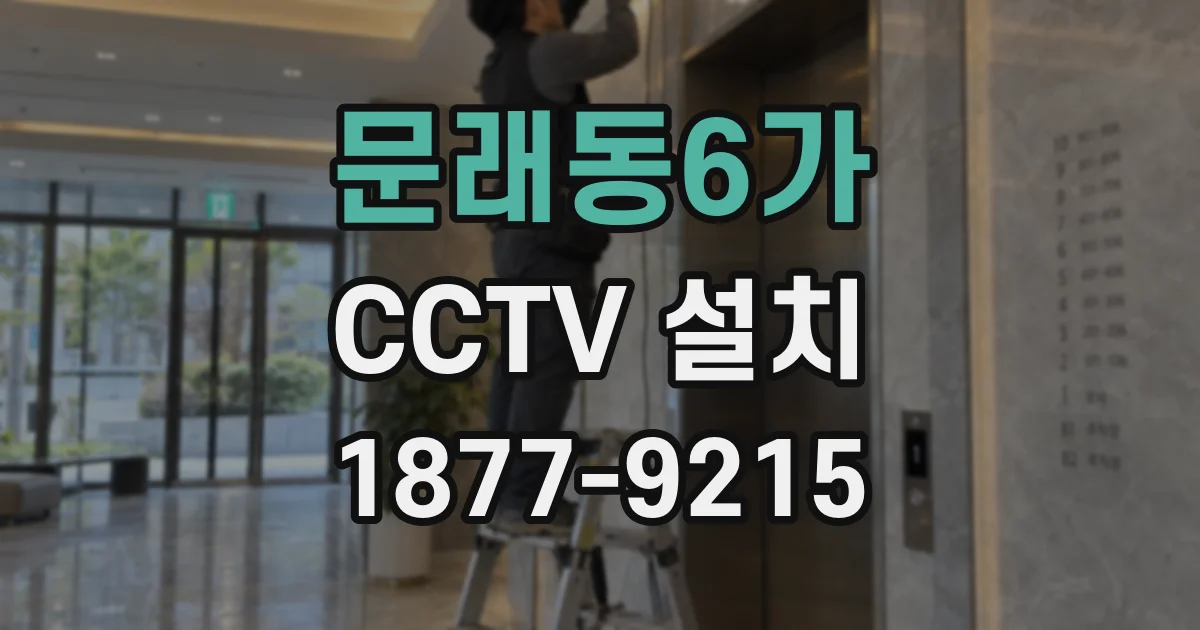 문래동6가 CCTV 설치
