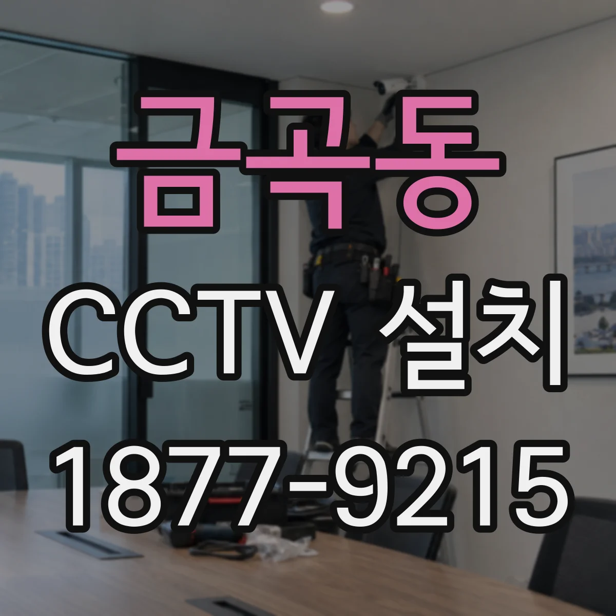 금곡동 CCTV 설치
