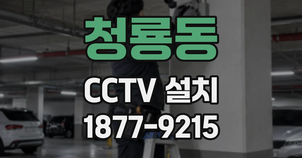 청룡동 CCTV 설치