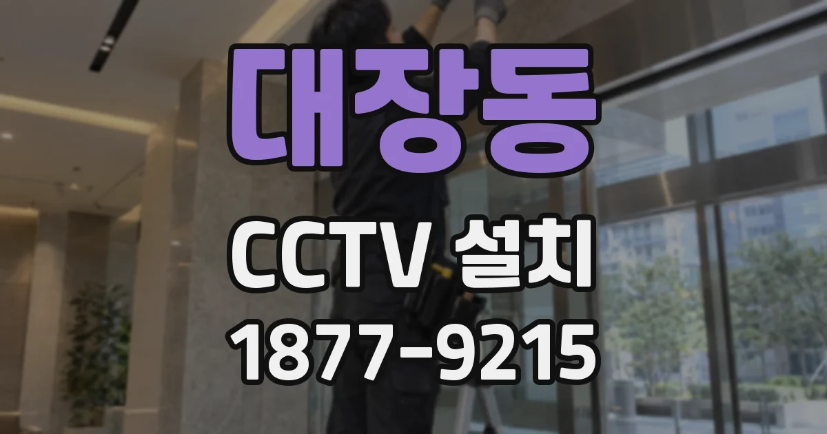 대장동 CCTV 설치