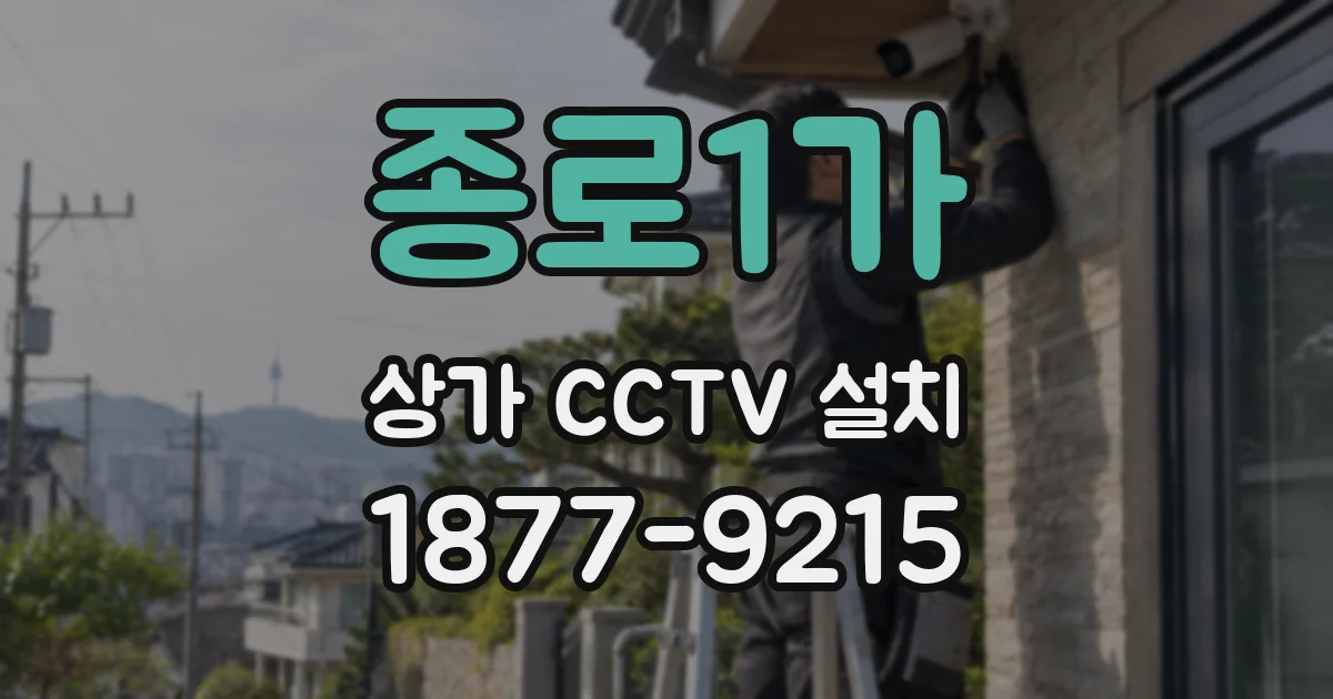 종로1가 상가 CCTV 설치
