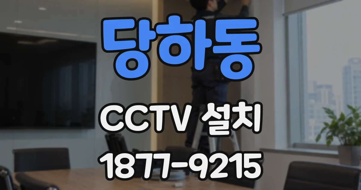 당하동 CCTV 설치