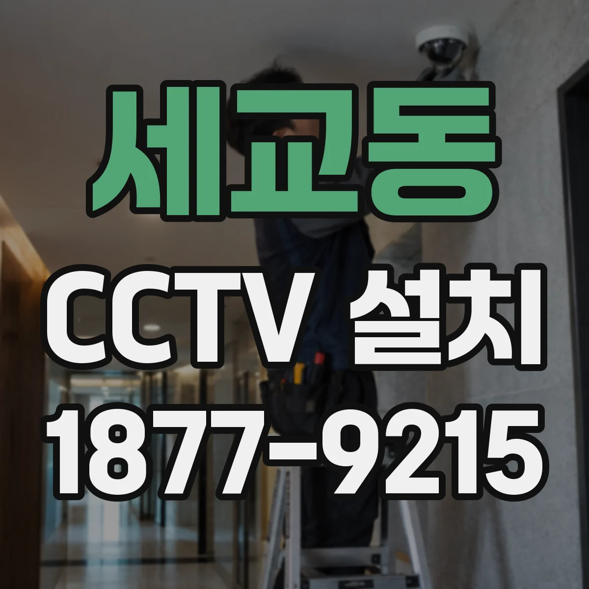 세교동 CCTV 설치