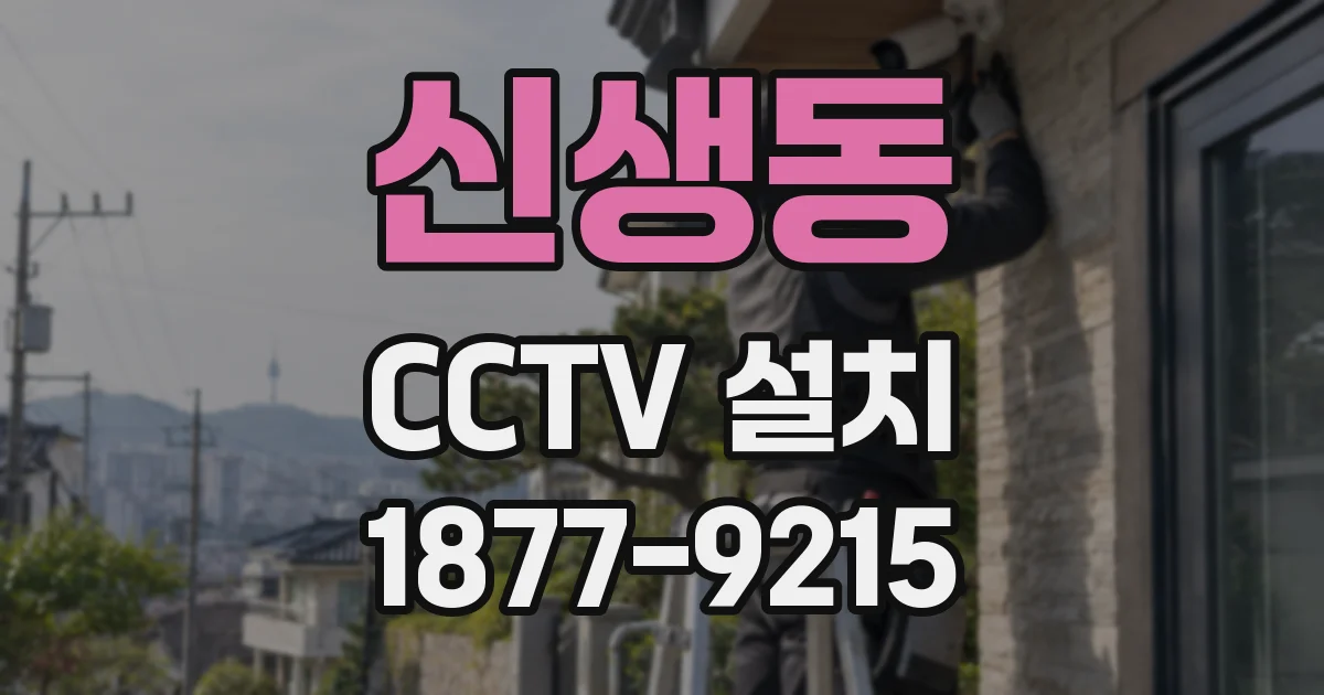 신생동 CCTV 설치