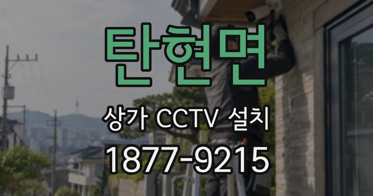 탄현면 상가 CCTV 설치