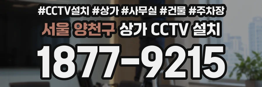 서울 양천구 상가 CCTV 설치
