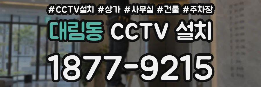 대림동 CCTV 설치
