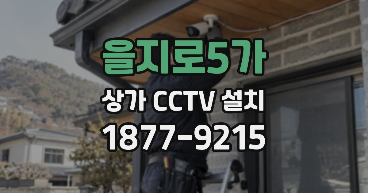 을지로5가 상가 CCTV 설치