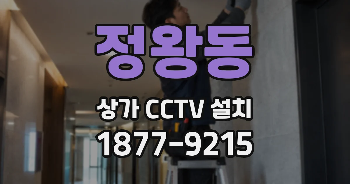 정왕동 상가 CCTV 설치