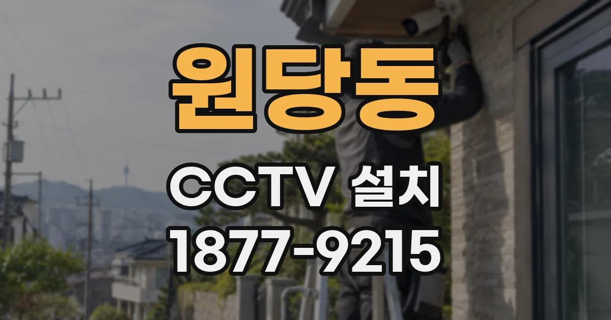 원당동 CCTV 설치