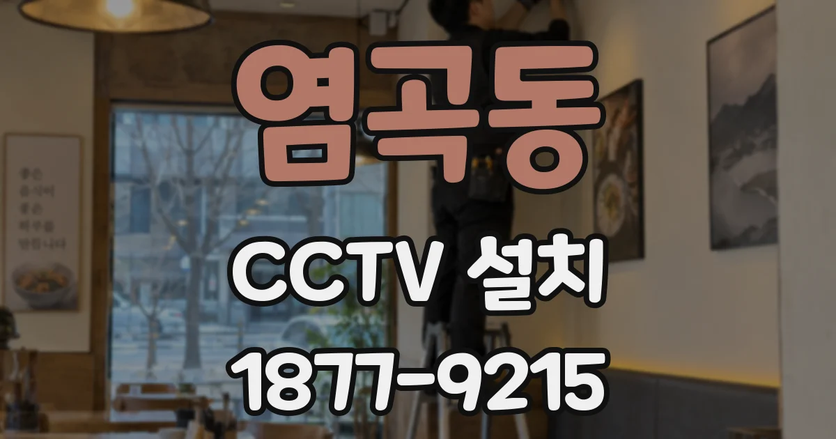 염곡동 CCTV 설치