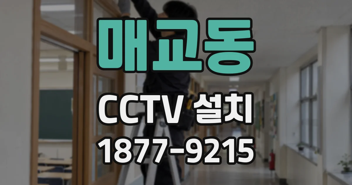 매교동 CCTV 설치