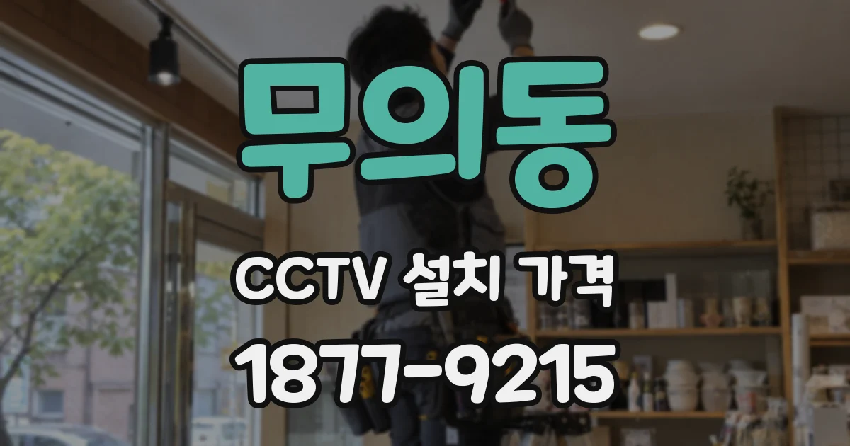 무의동 CCTV 설치 가격