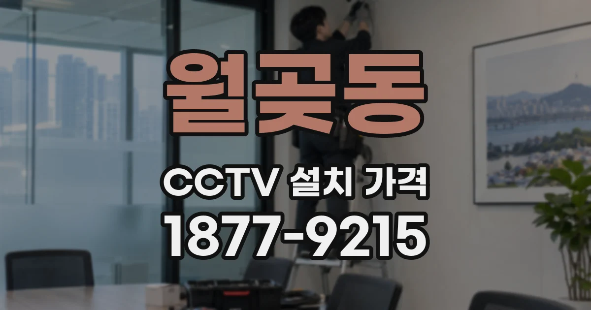 월곶동 CCTV 설치 가격