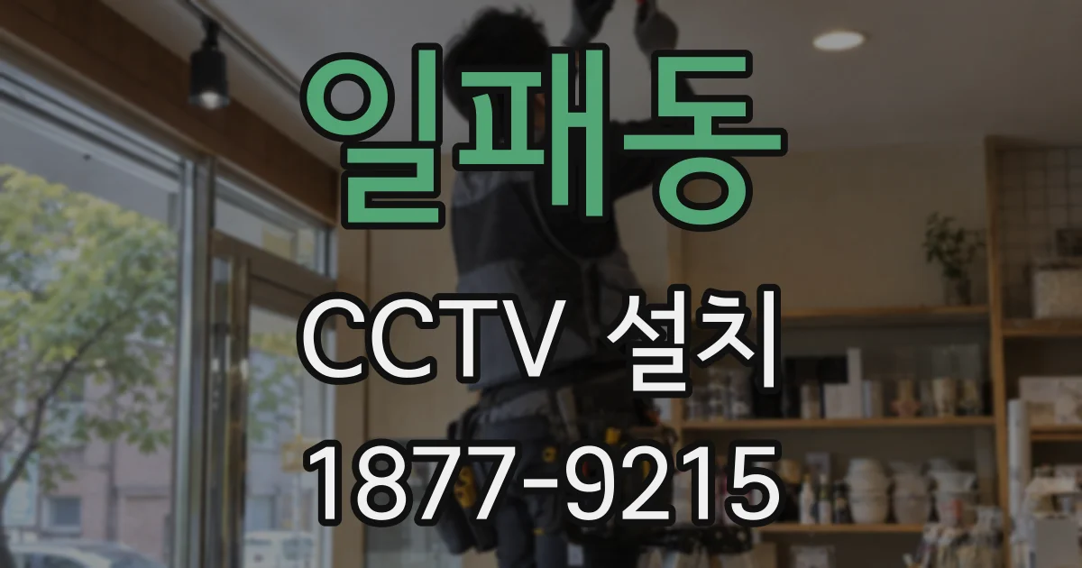 일패동 CCTV 설치