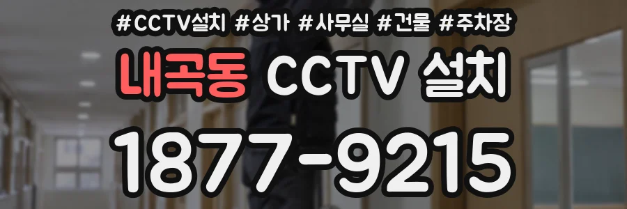 내곡동 CCTV 설치