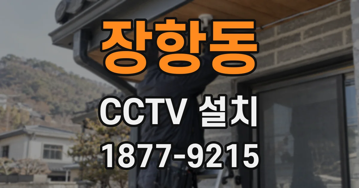 장항동 CCTV 설치