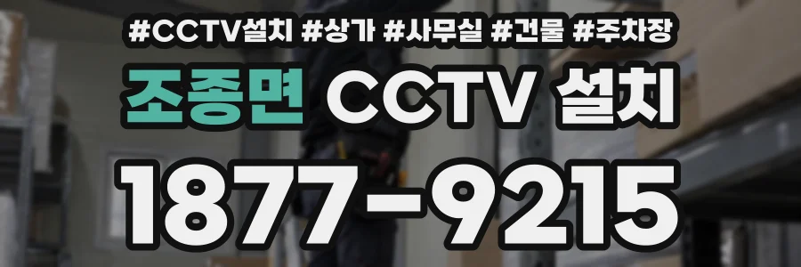 조종면 CCTV 설치