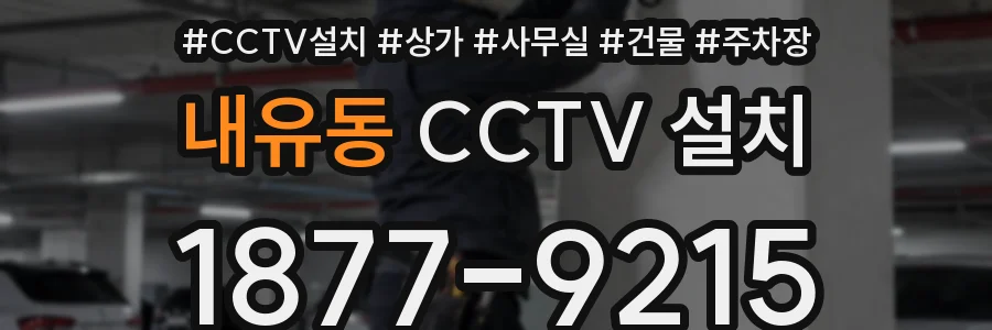 내유동 CCTV 설치